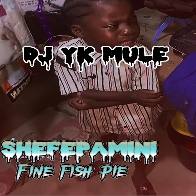 Dj-Yk-Mule-Shefepamini-Fine-Fish-Pie