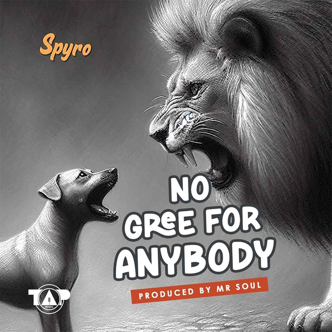 Spyro-No-Gree-For-Anybody-NGFA